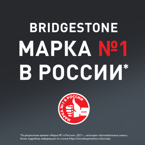 Автошина R19 235/55 Bridgestone Blizzak DM-V2 105T 